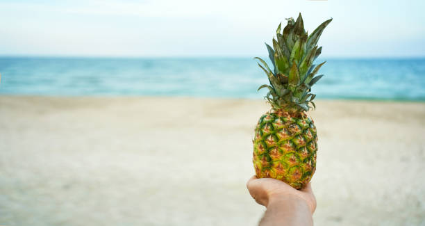 istock First person view hands holding pineapple in hand on beach background 1343515648