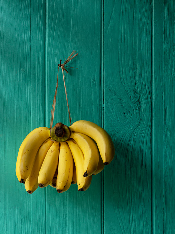 Market fresh bunch of bananas hanging by twine from an old rusty hook on an old weathered turquoise-colored wooden paneled background in atmospheric lighting. Good copy space at the top, bottom, and right side of the image.