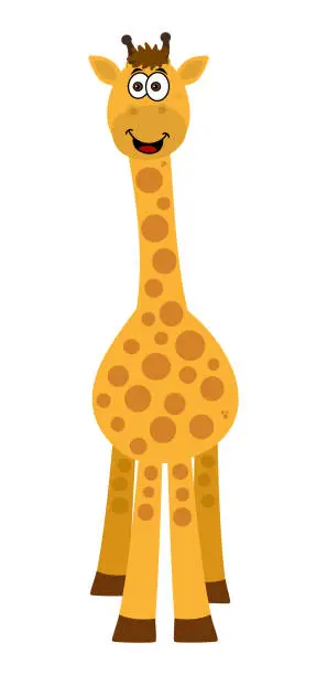 Vector illustration of Beautiful and smiling giraffe from the front on a white background - vector