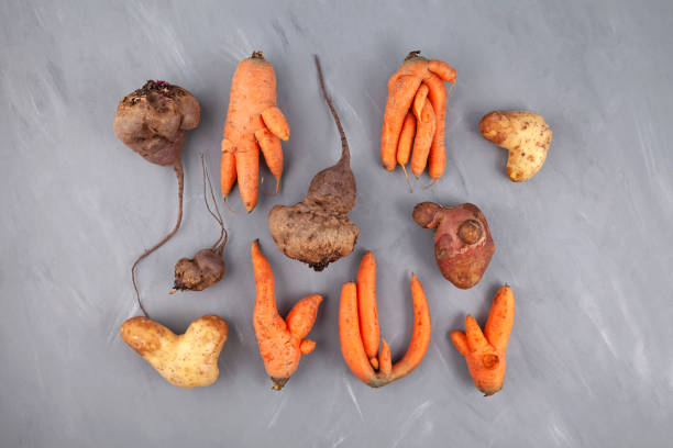 Mutation Vegetable 130+ Carrot Vegetable Genetic Mutation Plant Stock Photos, Pictures ...