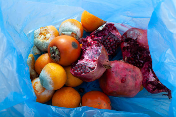 odpady żywności ekologicznej. zgniłe owoce (granat, persimmon, pomarańcza) w koszu na śmieci. niedoskonałe warzywa i owoce do przechowywania - garbage food compost unpleasant smell zdjęcia i obrazy z banku zdjęć