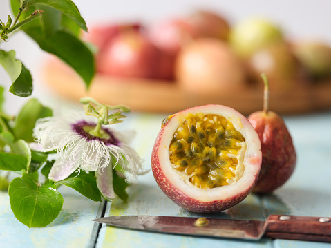This fresh passion fruit has been sliced in half as a cross section, sitting on a pastel blue wooden table background. There is a freshly bloomed passion fruit flower next to the fruit with a sharp kitchen knife used for slicing in the foreground. In the out-of- focus background is a tray of other freshly picked passion fruit. the background has a very defocused bokeh and provides excellent copy space at the top of the image.