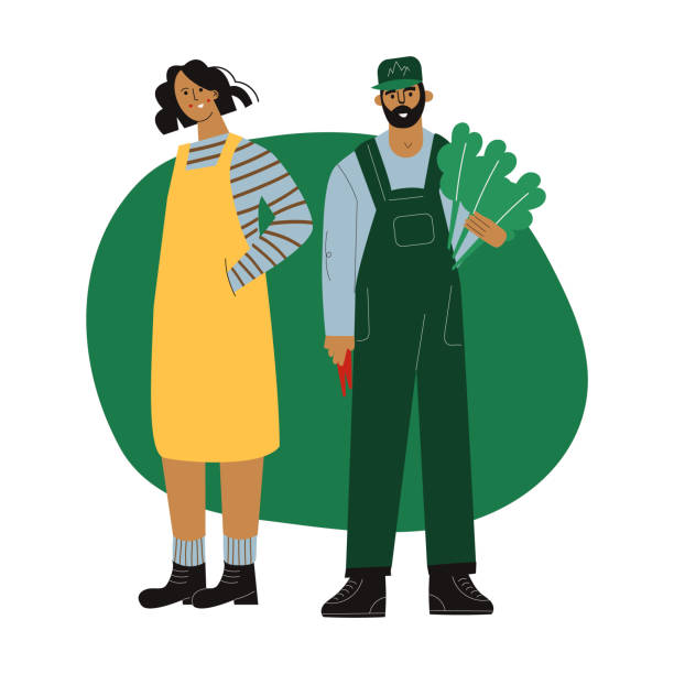 Farmers couple man and woman stands together with organic  fresh green vegetables. Farm character gardening together. Countryside lifestyle, eco farm flat cartoon vector illustration, isolated white Farmers couple man and woman stands together with organic  fresh green vegetables. Farm character gardening together. Countryside lifestyle, eco farm flat cartoon vector illustration farmer stock illustrations