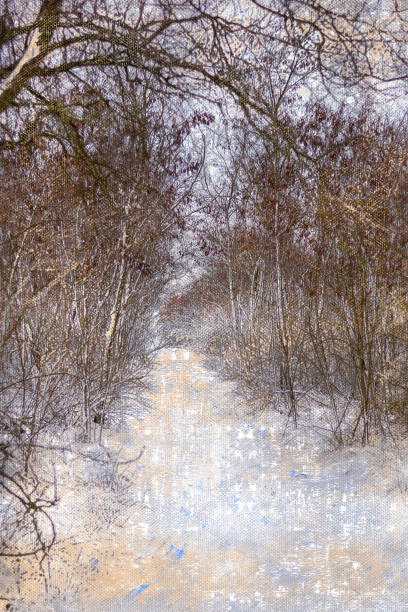 istock An empty winter park. A path covered with snow among the bushes and trees. 1343523402