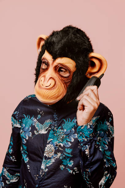 istock man wearing a monkey mask speaks in a mobile phone 1343525331