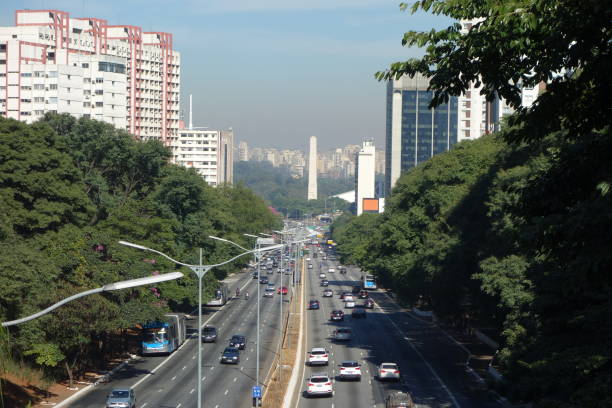 istock Sao Paulo, Brazil: streetview, avenue, obelisk, cityscape 1343527817