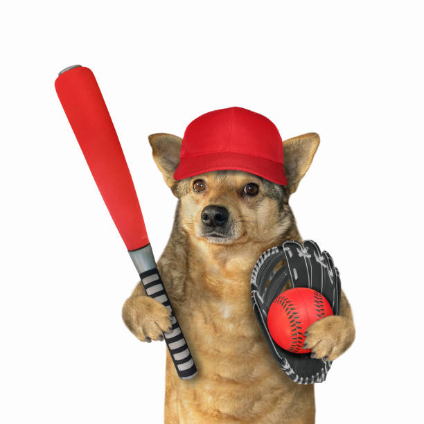 Dog baseball player holds red bat