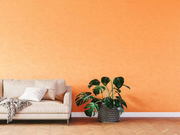 istock 3d render of beautiful interior with sofa and floor plant 1343529364