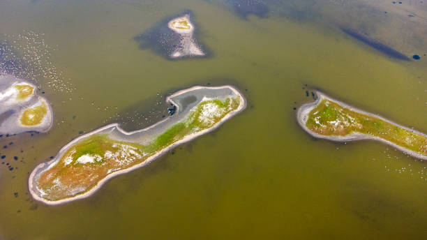 istock Salt marsh and coastline  - aerial view 1343531445