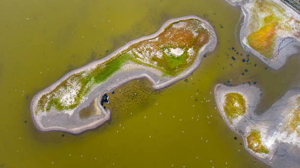 marisma salada y costa - vista aérea - netherlands dyke polder aerial view fotografías e imágenes de stock