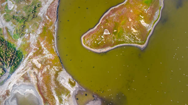 istock Salt marsh and coastline  - aerial view 1343531487