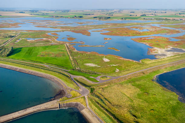 marisma salada y costa - vista aérea - netherlands dyke polder aerial view fotografías e imágenes de stock