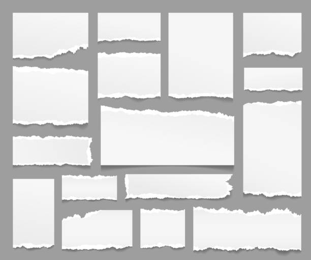 Torn paper sheets. Ripped papers strips, isolated piece note sheet with rip edge. Scrapbooking elements, grey empty notepad pages exact vector set Torn paper sheets. Ripped papers strips, isolated piece note sheet with rip edge. Scrapbooking, grey empty notepad pages exact vector set. Illustration of torn note blank, collection of sheet ripped scrap metal stock illustrations