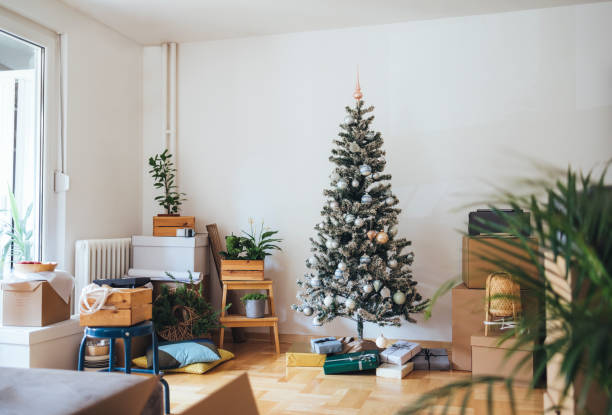 istock Moving In for Christmas in New Home 1343537672
