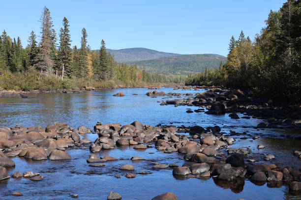 la malbaie river - landscape canada north america freshwater fish photos et images de collection