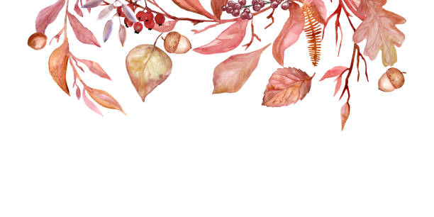 ilustraciones, imágenes clip art, dibujos animados e iconos de stock de acuarela clipart de otoño con naranja beige blanco clip art otoño hojas hojas de otoño bellotas otoño - acción de gracias png - wreath autumn flower thanksgiving