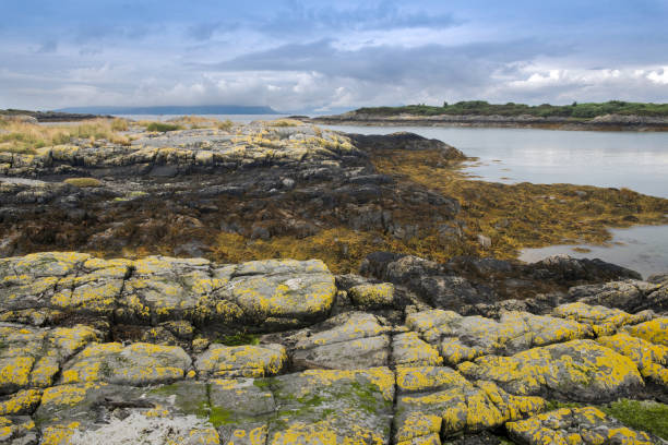 widok na pokryte porostami skały na plaży w silversands w pobliżu arisaig w szkocji. - scenics coastline uk moss zdjęcia i obrazy z banku zdjęć