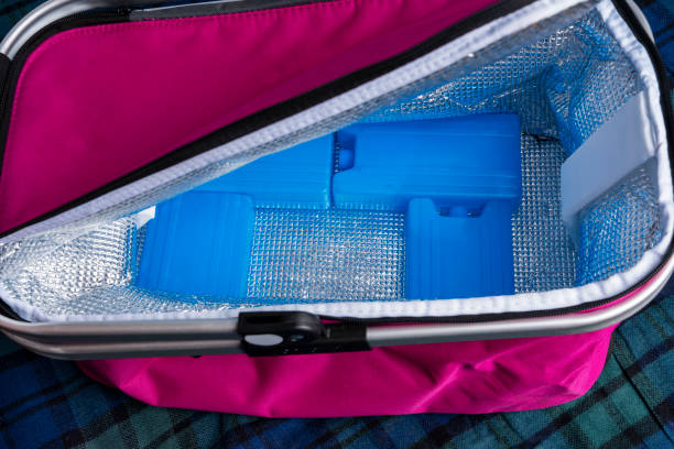 istock Portable refrigerator bag with cold storage batteries, thermos bag, refrigerant tanks, ice plates for a refrigerator bag 1343545641