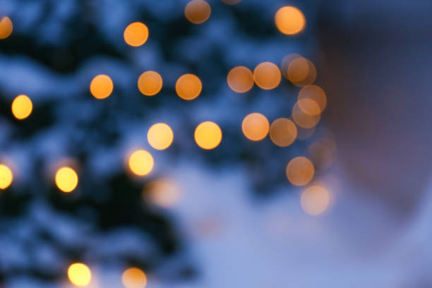 istock blurred photo of Christmas tree 1343548024