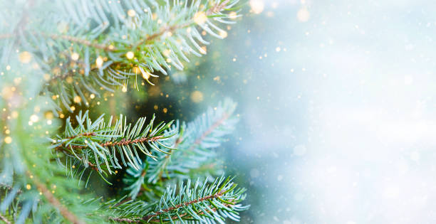istock Christmas and New Year holidays card. Winter background with copy space. 1343552845
