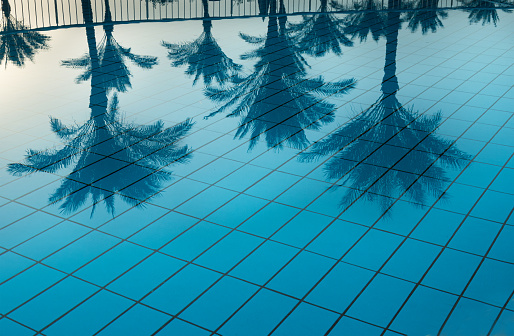 selective focus on blue reflection of palm trees in pool water. Swimming pool without visitors