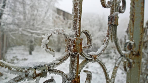 istock Fluffy frost on rusty metal decorative fence 1343557423