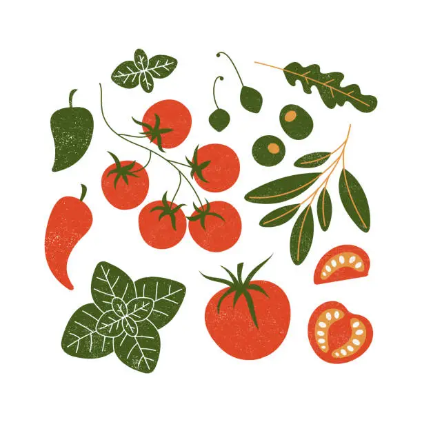 Vector illustration of Various food illustrations. Tomatoes, olives, basil, chili peppers, arugula, capers. Retro texture. Vector illustration. Vector illustration