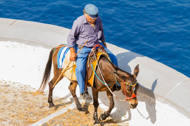 SANTORINI, GREECE - 2013 august. Donkey ride up all the stairs.