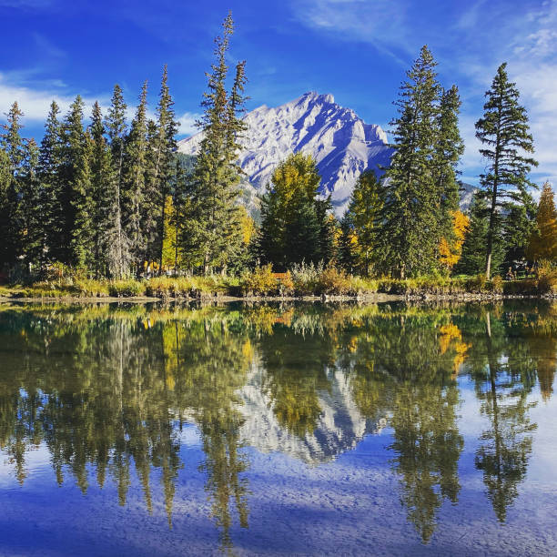 istock Fall colours and landscape scenery in Banff Alberta 1343560774