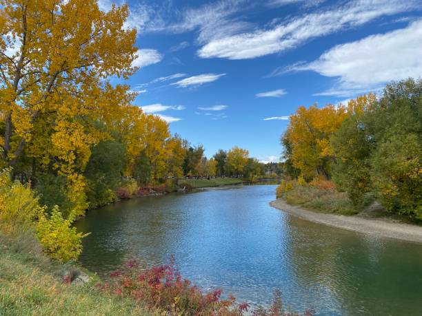 istock Fall colours on the streets of Calgary Alberta 1343560776