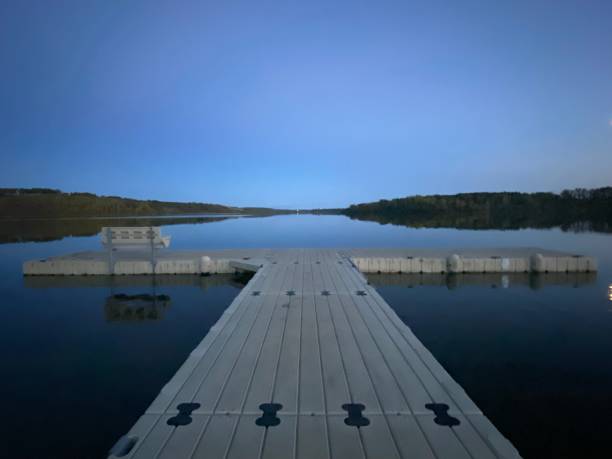 landscapes along pine lake at dusk in rural alberta - pine tree imagens e fotografias de stock