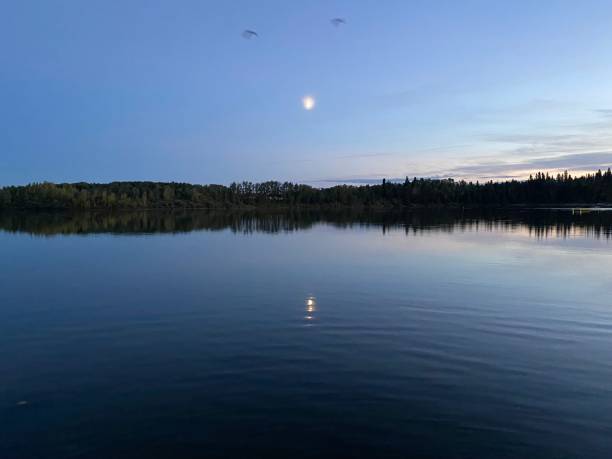 landscapes along pine lake at dusk in rural alberta - pine tree imagens e fotografias de stock