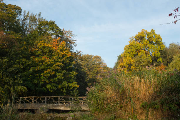 los colores del otoño - indiana summer lake tree fotografías e imágenes de stock