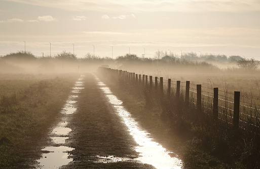 A misty early morning shot of a wet footpath alongside a fence in a nature reserve in Essex, UK.