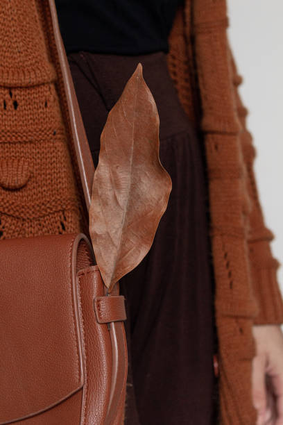 istock Autumn Fashion Composition 1343566767