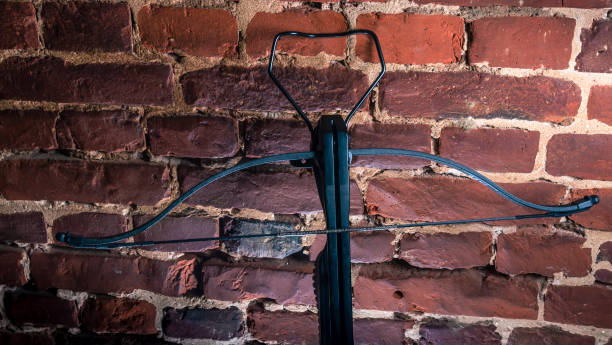 istock A modern compound crossbow handgun on the red brick wall background. Old weapon concept. 1343567555
