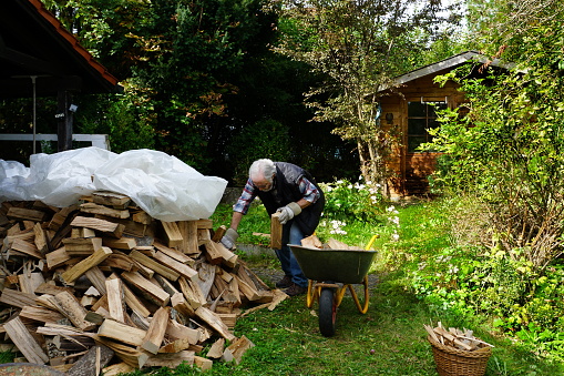 At the beginning of winter, the fallen trees by the spring storms are collected and transported for processing as chopped firewood for the fireplace and stove of the house. Here you can see a Senior at work to transport the wood in a wheelbarrow.