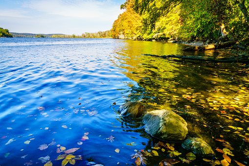 This is a photograph taken on a mobile phone outdoors of trees with autumn colored leaves reflecting in a pond during October in the Hudson Valley area of Upstate New York.