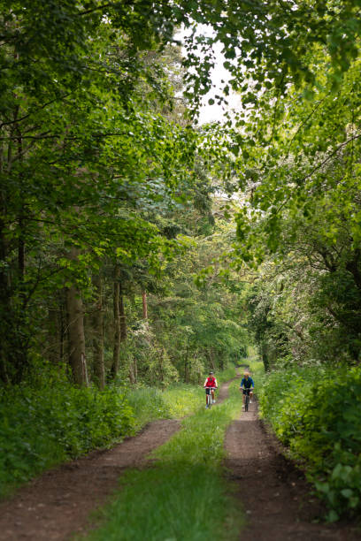 istock Bike Ride Down a Dirt Track 1343576699