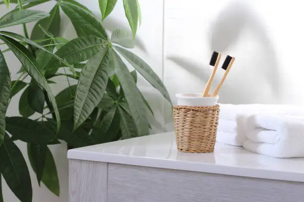 Two bamboo toothbrushes with black bristles and charcoal on the bathroom sink next to a green plant and white towels.