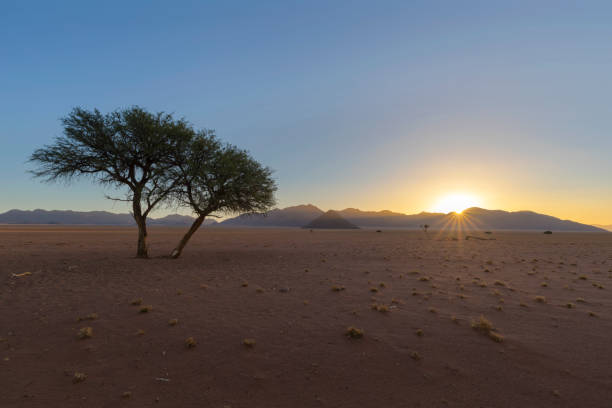 istock Sunset on dry Namib Desert 1343583553