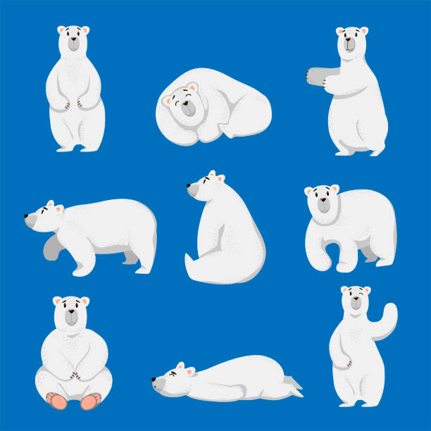 Ilustración de Juego De Dibujos Animados De Osos Polares Blancos y más  Vectores Libres de Derechos de Oso - Oso, Estar de pie, Ártico - iStock