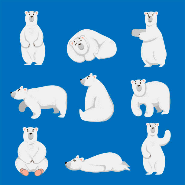 Ilustración de Juego De Dibujos Animados De Osos Polares Blancos y más Vectores Libres de Derechos de Oso - Oso, Estar de pie, Ártico - iStock Ilustración de Juego De Dibujos Animados De Osos Polares Blancos y más Vectores Libres de Derechos de Oso - Oso, Estar de pie, Ártico - iStock
