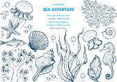 Underwater world hand drawn collection. Sketch illustration. Seaweed, coral, seashells, starfish, jellyfish, fish illustration. Vintage design template. Undersea world collection.