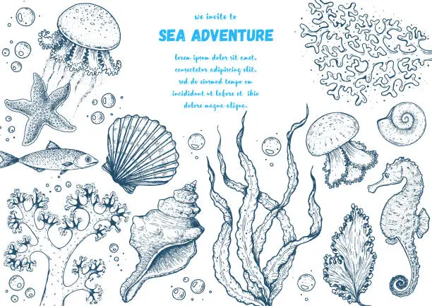 Vector illustration of Underwater world hand drawn collection. Sketch illustration. Seaweed, coral, seashells, starfish, jellyfish, fish illustration. Vintage design template. Undersea world collection.