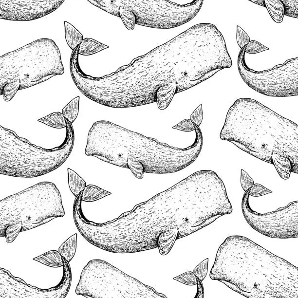Vector illustration of Sperm whale seamless pattern. Hand drawn sketch style. Cachalot vector illustration.