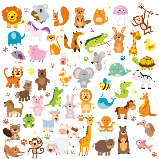 ilustraciones, imágenes clip art, dibujos animados e iconos de stock de gran conjunto de animales vectores - symbol sea animal owl