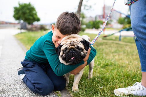 A cute boy is hugging an adorable pug in a park