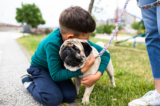 A cute boy is hugging an adorable pug in a park