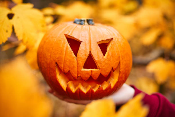 Halloween Jack-o-Lantern with yellow autum leaves background. Halloween pumpkin. Autumn colors.
